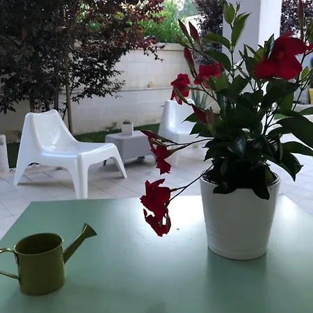Ofra Ματέρα