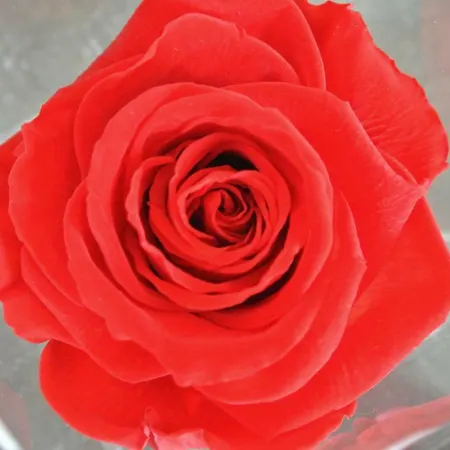 Affittacamere Ofra 4*